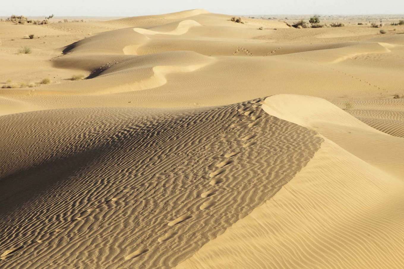 Top And The Most Beautiful Deserts Of INDIA India Darpan