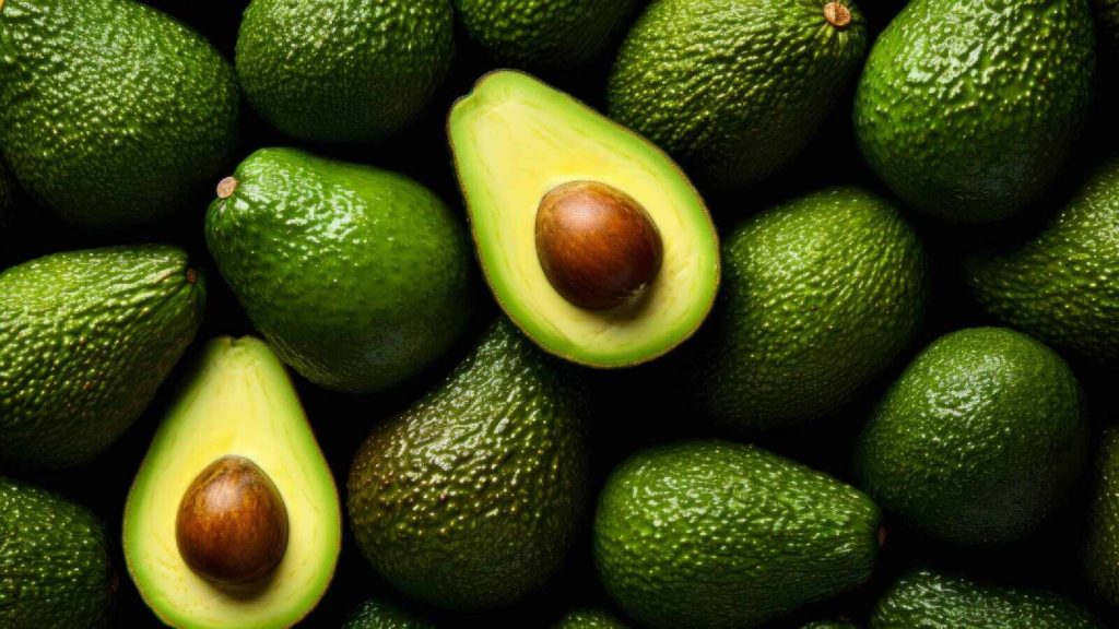 Avocados A Rich Source of Healthy Fats