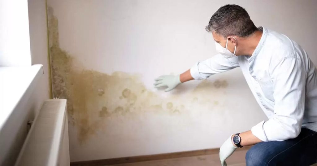 Understanding Waterlogging and Dampness