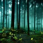 Mystical Forests in India That Sparkle After Sunset