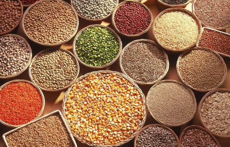 Exploring the role of millets in Indian weight loss diets