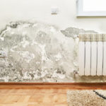How to Prevent Waterlogging and Dampness in Your Home