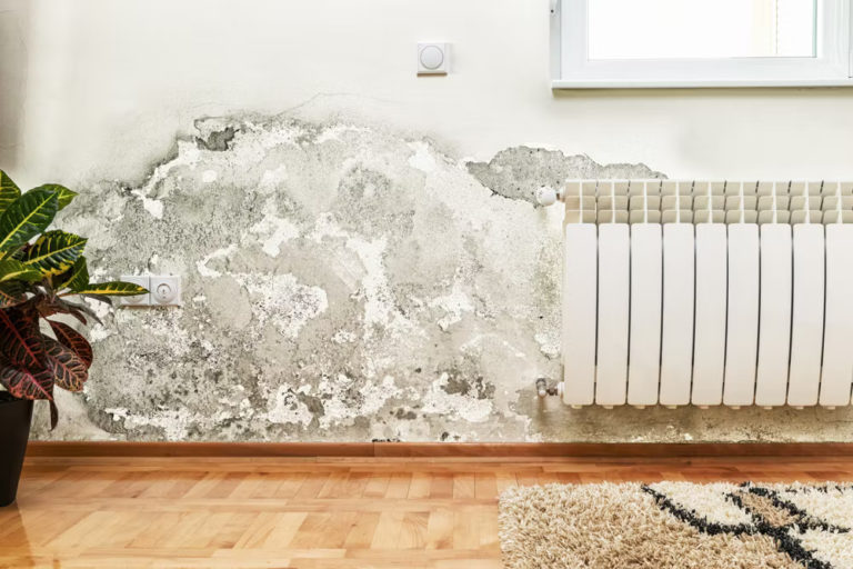 How to Prevent Waterlogging and Dampness in Your Home