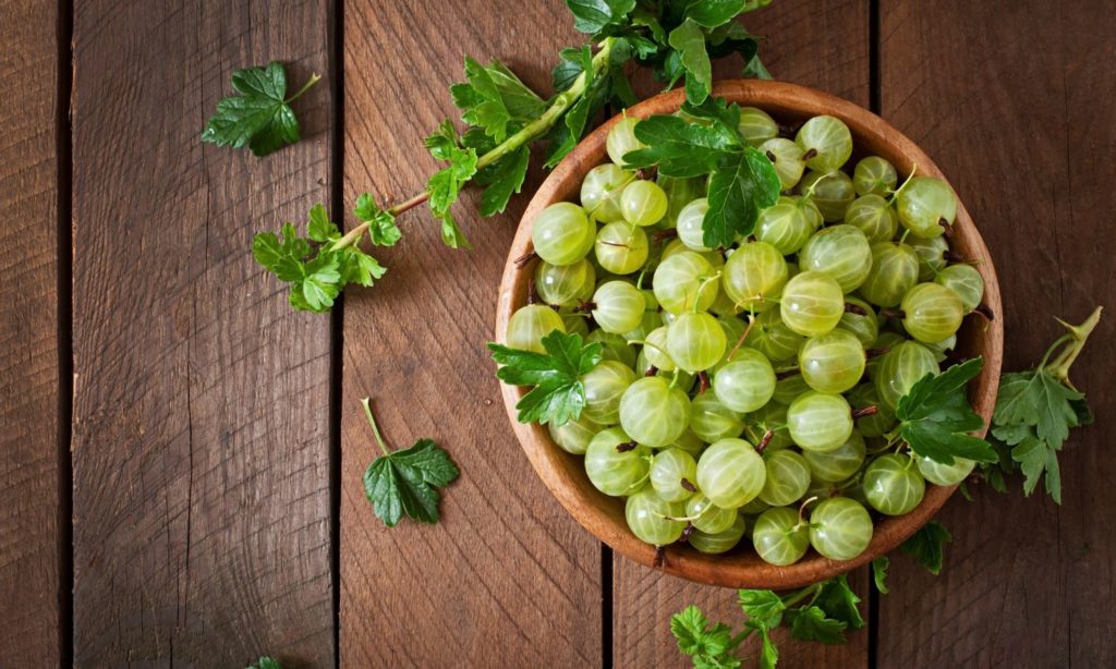 Indian Gooseberry (Amla) The Sour Powerhouse of Wellness