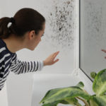 Monsoon Mildew Prevention Keep Your Indian Home Dry & Fresh