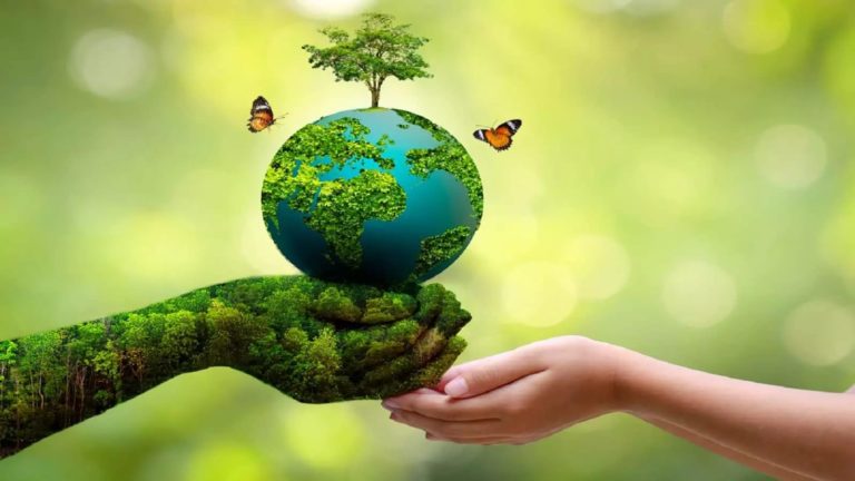 World Environment Day 2025: How Can We Make a Difference