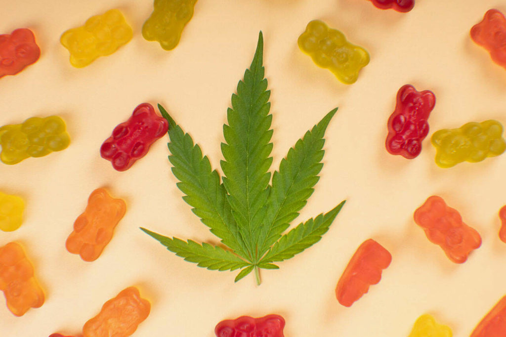 Factors That Influence How Long CBD Gummies Take to Work