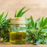 Why CBD Oil from Canada is Becoming the Go-To Wellness Trend in India