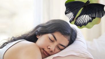 black butterfly in dreams
