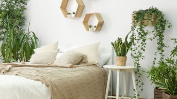 Indoor plants and sleep