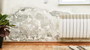 How to Prevent Waterlogging and Dampness in Your Home