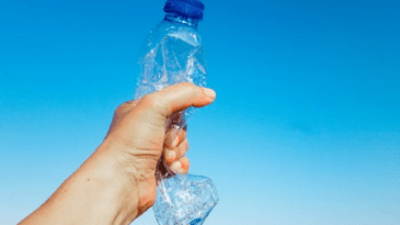 Plastic-Free India: How You Can Contribute in Daily Life