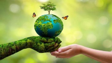 World Environment Day 2025: How Can We Make a Difference