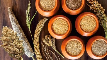 A Guide to Indian Millets Types, Nutritional Values, and Uses