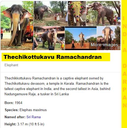 Thechikottukavu Ramachandran