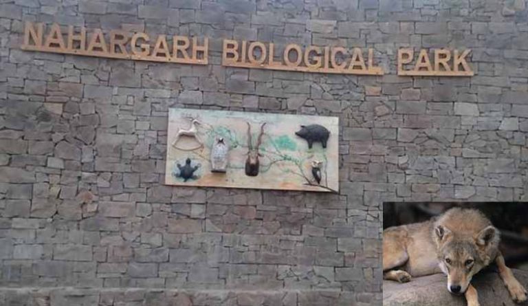 Nahargarh Biological Park in Jaipur