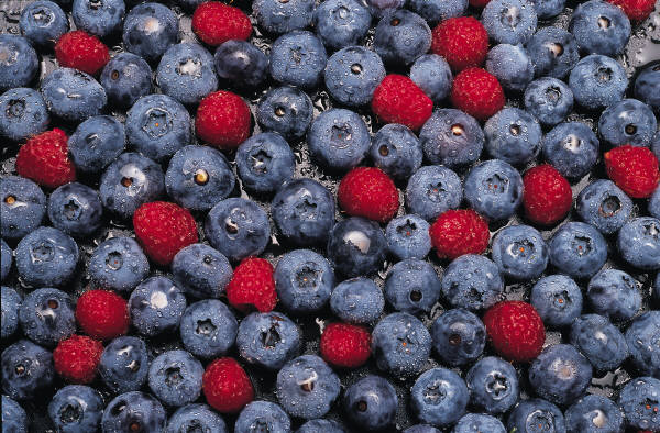 Berries: Packed with Antioxidants