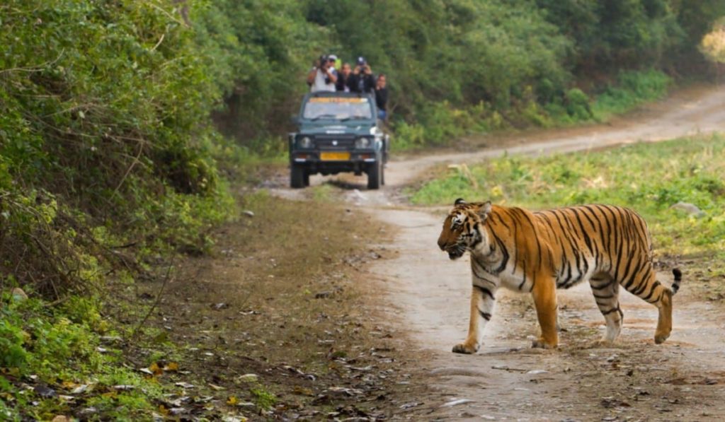 Jim Corbett National Park