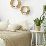 Indoor plants and sleep