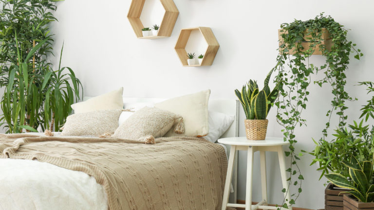 Indoor plants and sleep