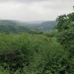 Aravali in Danger