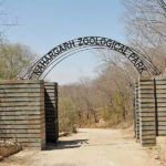 Nahargarh Biological Park Jaipur : Everything You Need to Know