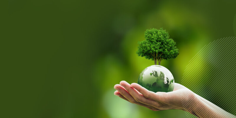 The Global Impact of World Environment Day