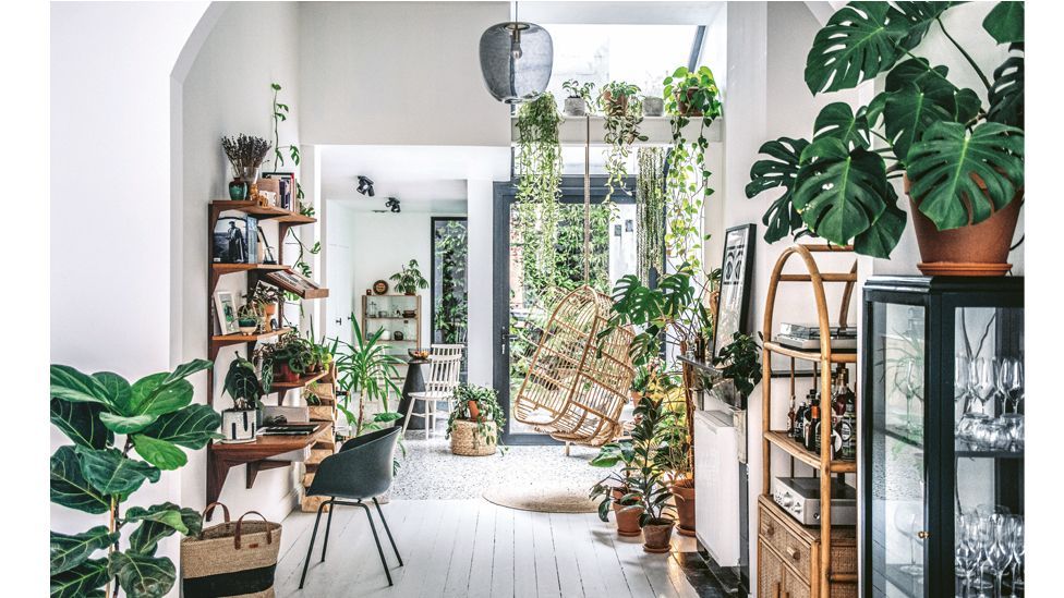 The Art of Indoor Gardening