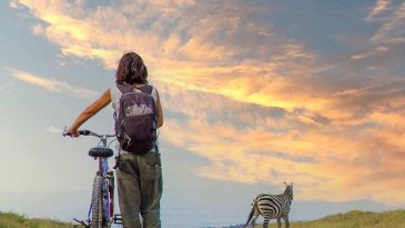 Budget Travel in India Top 10 Summer Destinations for Solo Explorers