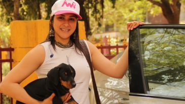 Pet-Friendly Hill Station Getaways Top Picks for Traveling with Pets