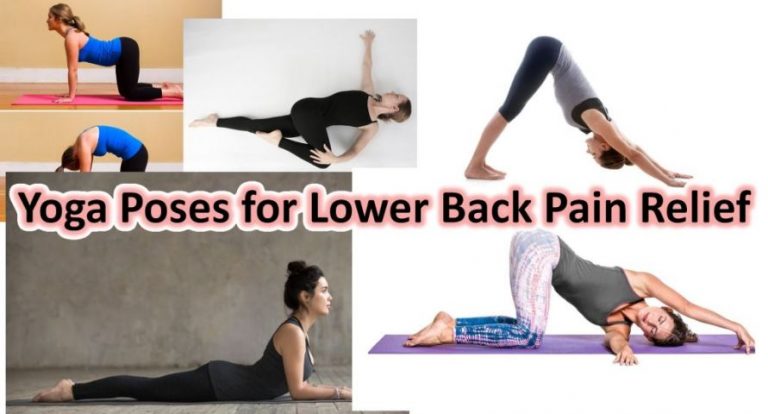 Best Yoga Poses To Relieve Back Pain  International Society of Precision  Agriculture