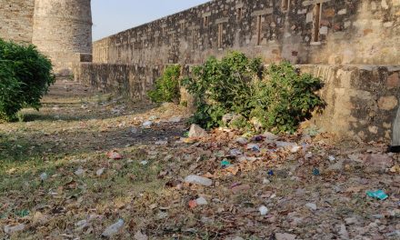 Apni Virasat, Apni Zimmedari: A Unique Initiative to Preserve Our National Heritage