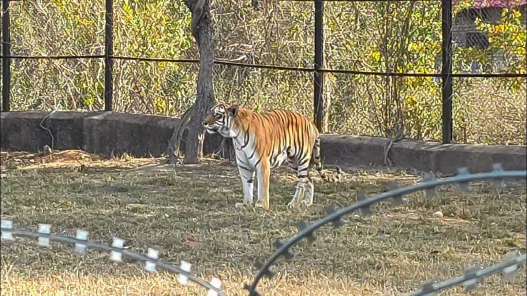 Eco-Tourism Initiatives at Nahargarh Biological Park
