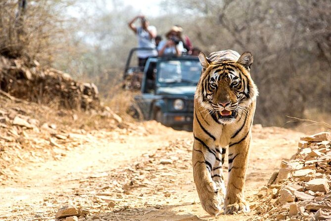 History of Nahargarh Biological Park